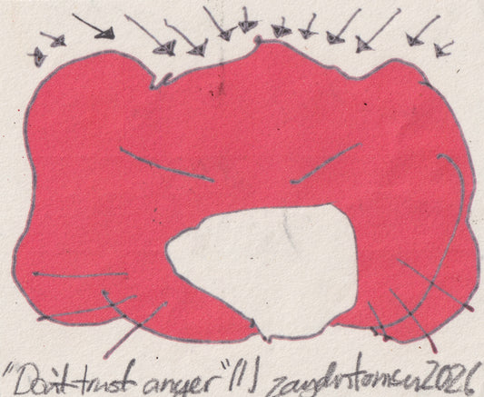 Don’t trust anger