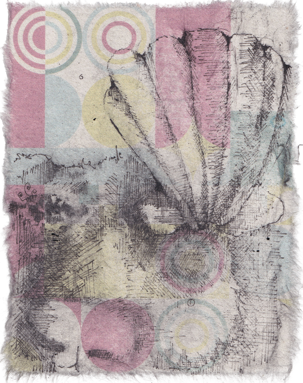 Shell Vision